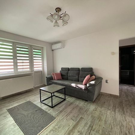 Tei Apartment - Lucian Blaga Σάτου Μάρε Εξωτερικό φωτογραφία