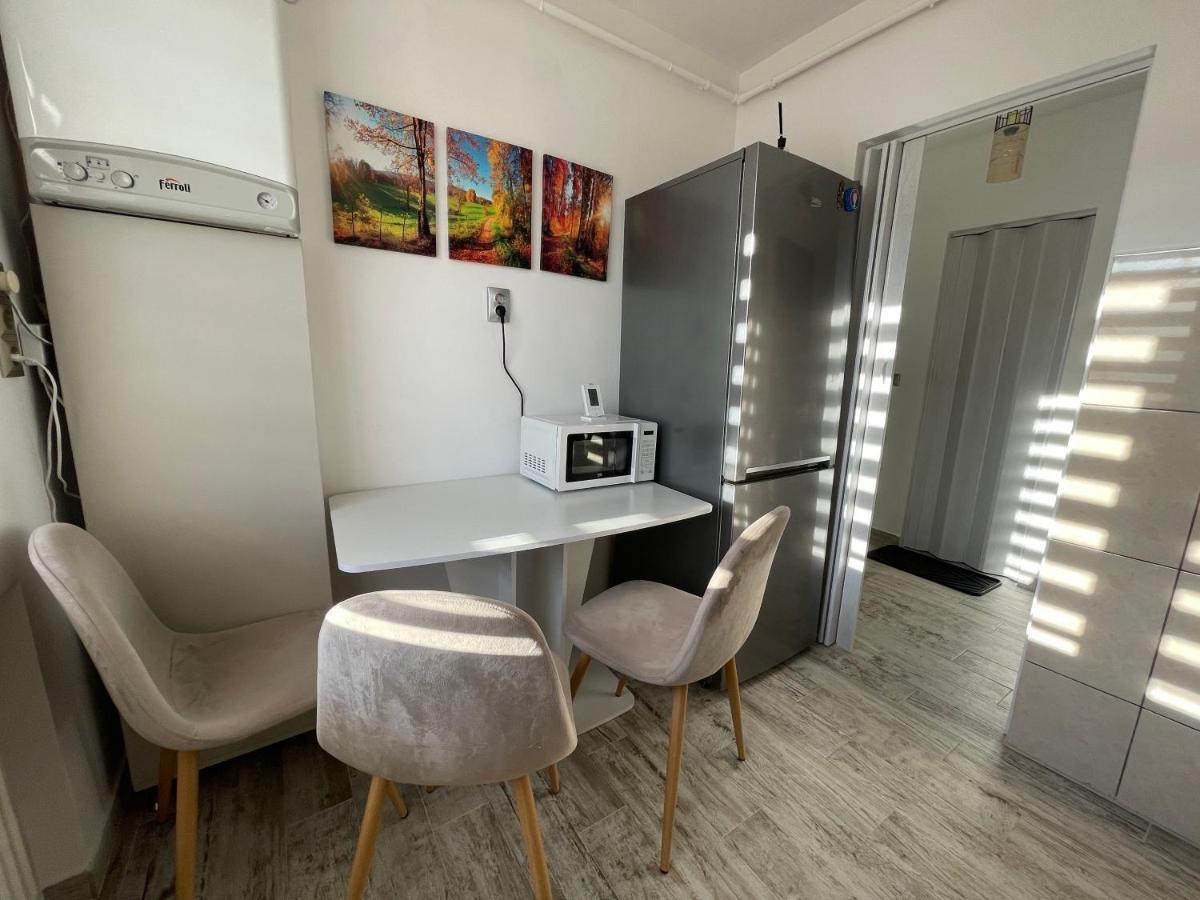 Tei Apartment - Lucian Blaga Σάτου Μάρε Εξωτερικό φωτογραφία
