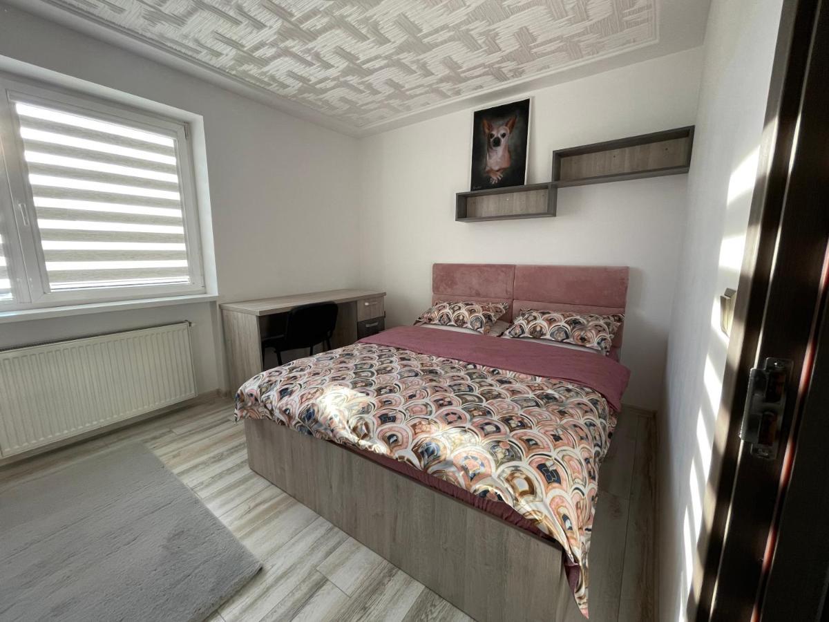 Tei Apartment - Lucian Blaga Σάτου Μάρε Εξωτερικό φωτογραφία
