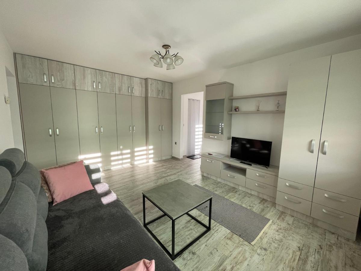 Tei Apartment - Lucian Blaga Σάτου Μάρε Εξωτερικό φωτογραφία